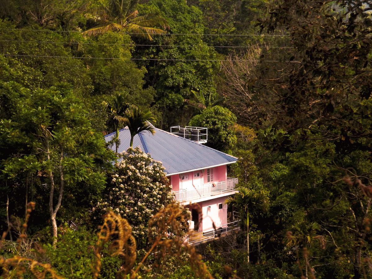 Drizzle Valley Cottage مونار المظهر الخارجي الصورة